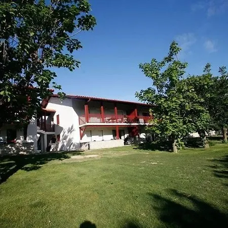 Comfortable With Terrace Surrounded By Pine Trees *